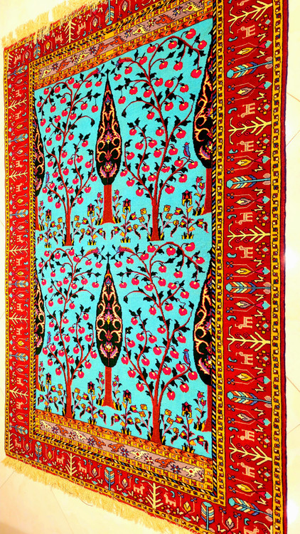 فرش دستبافت چله و گل ابریشم