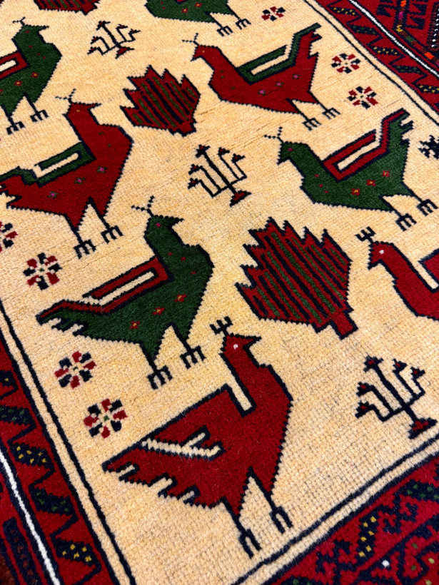 ghaliche-morghi-sarkouh-closeup-pashm-rang-giahi.jpg